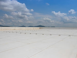 Single-Ply Roofing2 